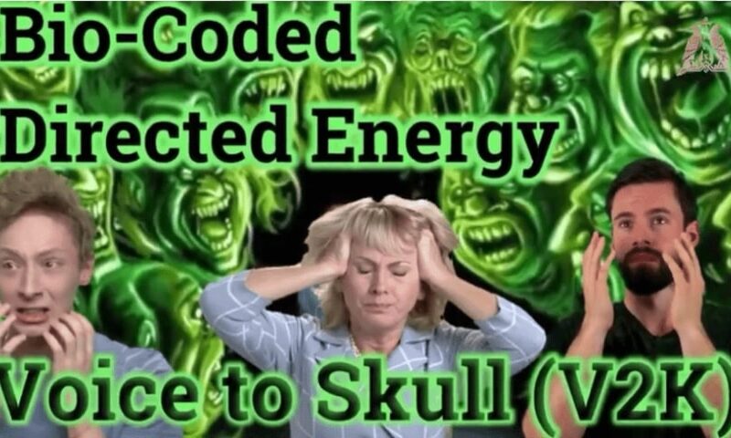Brain to Computer Interface