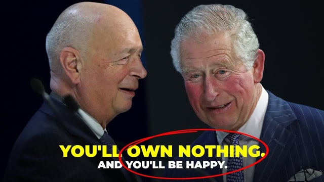 You'll Own Nothing And You'll Be Happy